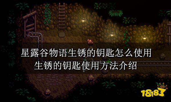 星露谷物语生锈的钥匙怎么使用 生锈的钥匙使用方法介绍