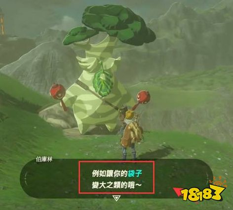塞尔达传说荒野之息加背包格子npc在哪里 加背包格子npc位置一览