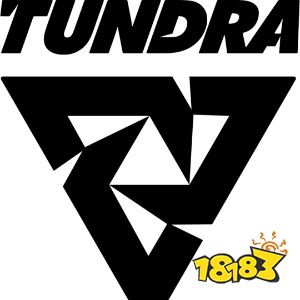 dota2tundra战队成员有哪些 dota2tundra战队成员资料介绍