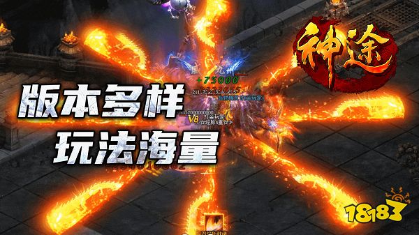 皓月合击版神途