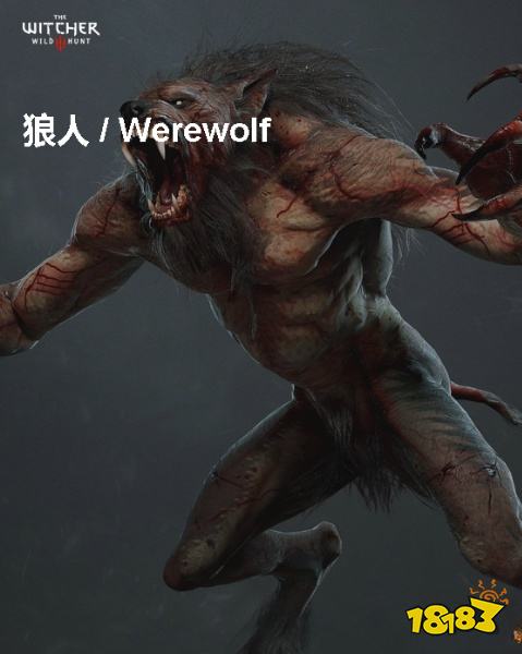 巫师3狼人背景介绍 狼人详情一览