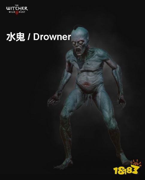 巫师3水鬼背景介绍 水鬼详情一览