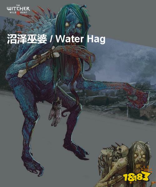 巫师3沼泽巫婆背景介绍 沼泽巫婆详情一览
