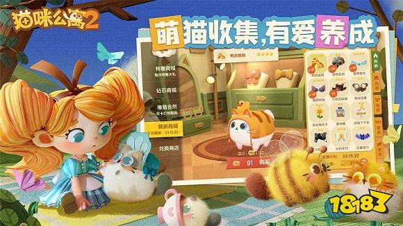 猫咪公寓2最新版