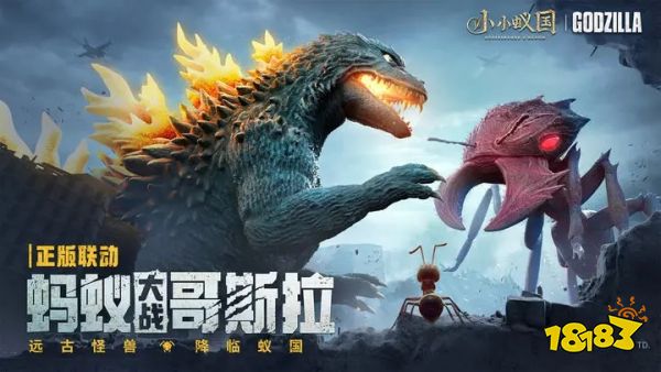 小小蚁国官网下载