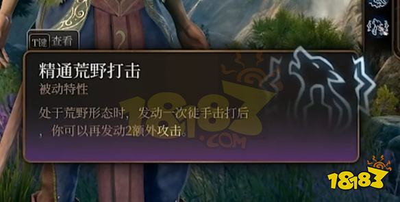 博德之门3德鲁伊怎么加点 博德之门3月亮德鲁伊BD推荐