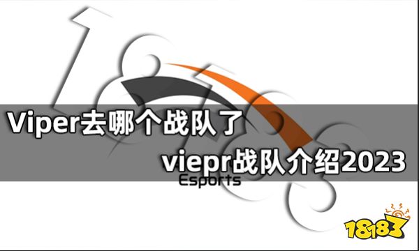 Viper去哪个战队了 viepr战队介绍2023