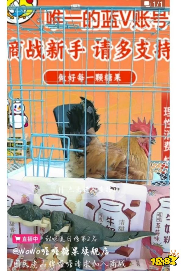 浇死发财树已经过时了,这才是现代商战!
