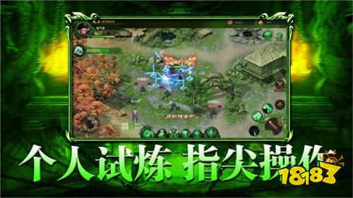 传世绿毒版(自由挂机)