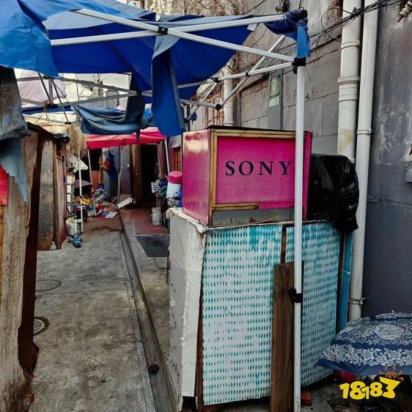 日本游戏编剧迷失浦东机场,入乡随俗Citywalk七小时