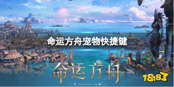 命运方舟宠物快捷键是哪个?宠物快捷键使用分享