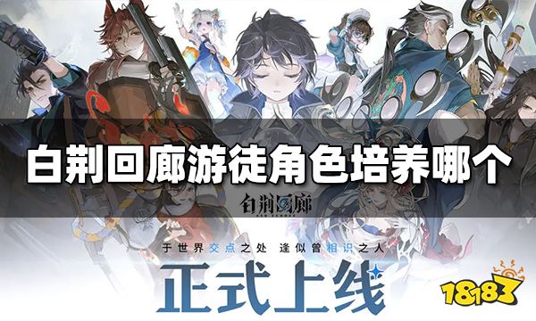 白荆回廊游徒角色培养哪个 游徒角色培养推荐