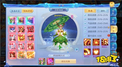 菲狐倚天情缘怎么培养灵宠(江湖奇缘最值得培养的灵宠推荐)
