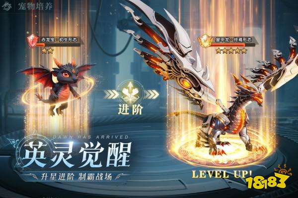 黎明之塔官方正版