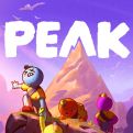 PEAK手机版
