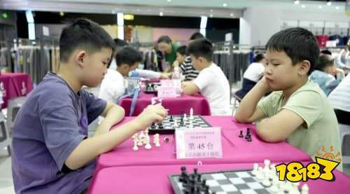 2025年河北省棋牌联赛启幕,打造全民智慧盛宴