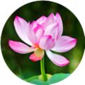 消除好好玩手机版