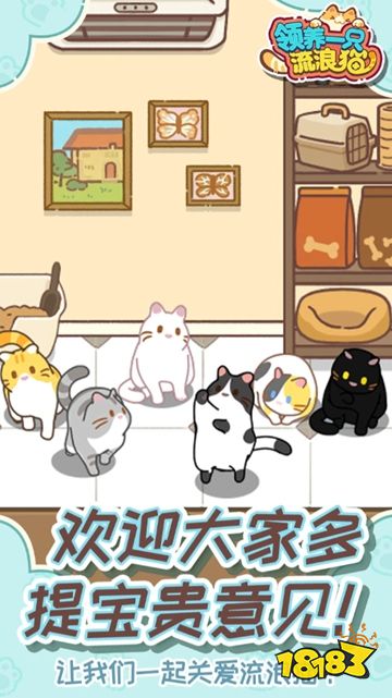 领养一只流浪猫测试版下载