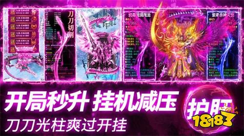 传奇私服挂机辅助免费版