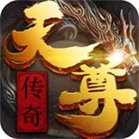 天尊传奇2026九职业